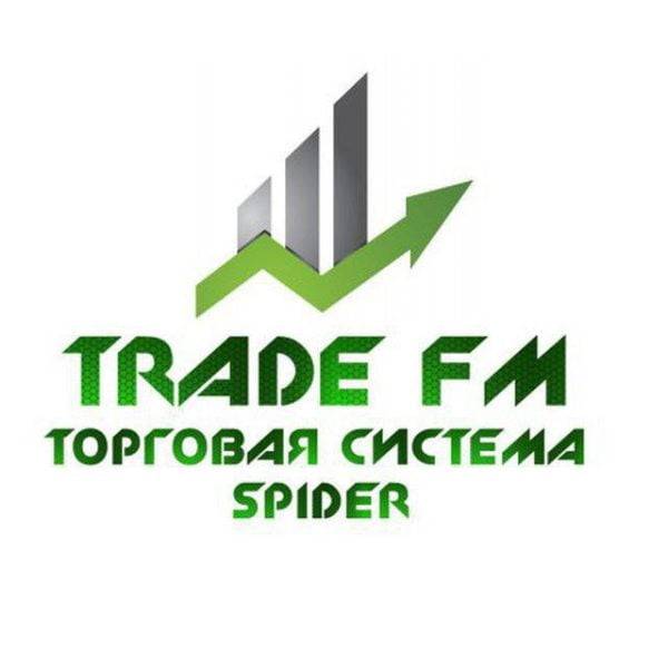 Spider EA