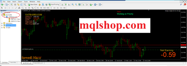 Hedge Scalper EA 2024