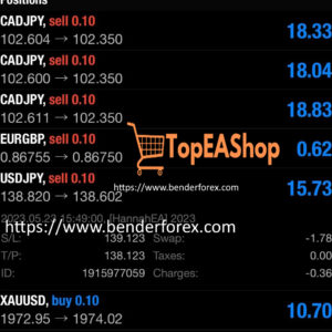 Hannah-EA-MT4-live-results.jpg