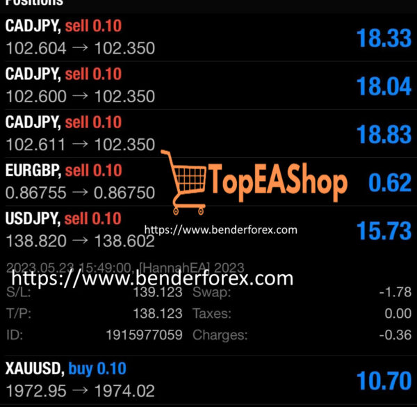 Hannah-EA-MT4-live-results.jpg