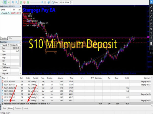 Stargogs-Pay-EA-MT5-live-results.jpg