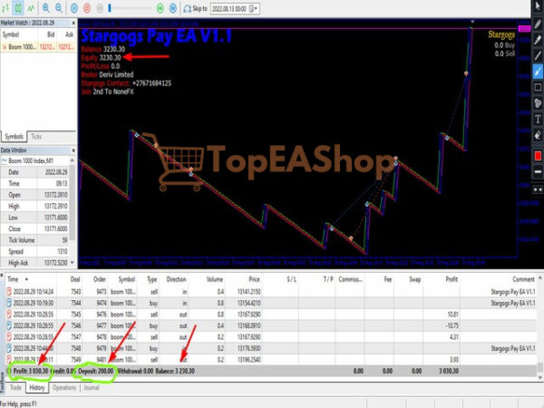 Stargogs-Pay-EA-MT5-live-trading.jpg