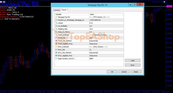 Stargogs-Pay-EA-MT5-settings.jpg