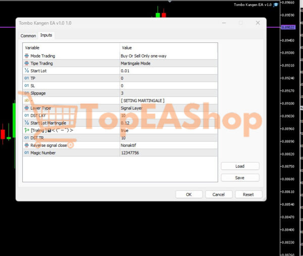Tombo-Kangen-EA-MT5-settings.jpg