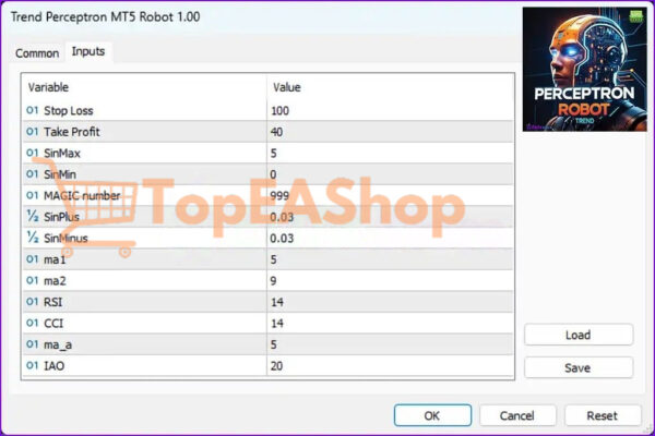 Trend-Perceptron-Robot-MT5-settings.jpg
